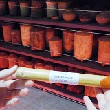 Grabpyramide des 4. Kaisers Han Yang Ling - Xianyang - China -  Juni  2015 – Franz